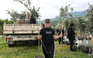 TİKA, ARNAVUTLUK’TA İHTİYAÇ SAHİBİ AİLELERE ZEYTİN FİDANI HİBE ETTİ