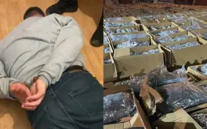 SIRBİSTAN POLİS TARİHİNİN EN BÜYÜK OPERASYONU: 5 TON MARİHUANA ELE&hellip;