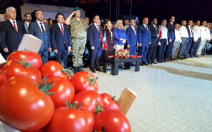 MAMUŞA’DA 17. ULUSLARARASI DOMATES FESTİVALİ DÜZENLENİYOR